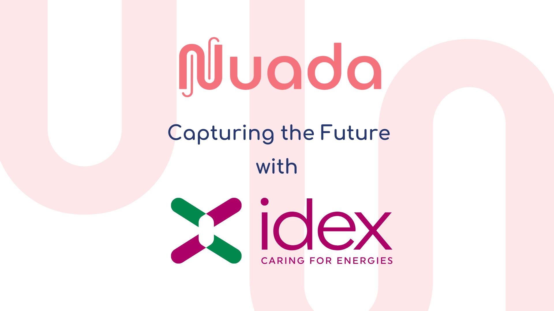 Nuada x MLC